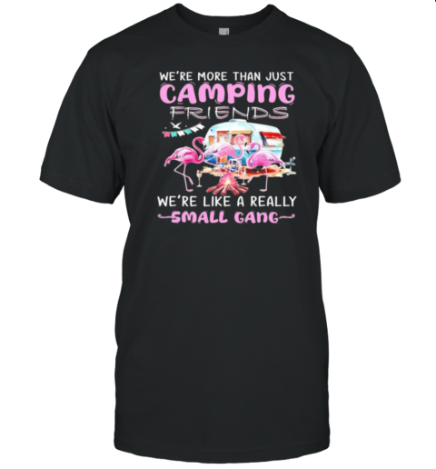 We'Re More Than Just Friends We'Re Like A Really Small Gand Flamingo Camping T- Classic Men's T-shirt