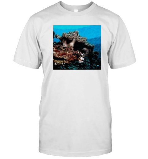 Beautiful Seascape Colorful Undersea Brown Green Coral Reefs Image T-Shirt