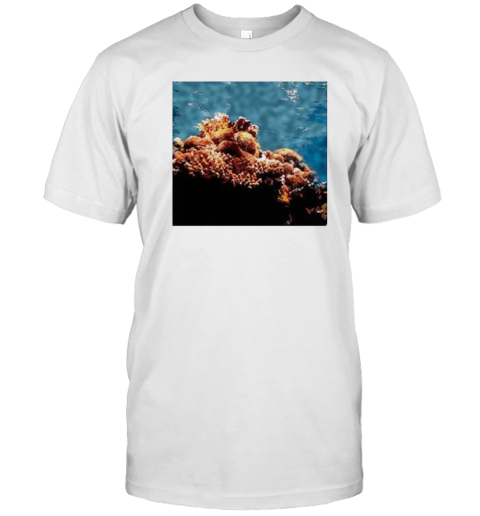 Beautiful Seascape Colorful Undersea Orange Red Coral Reefs Image T-Shirt