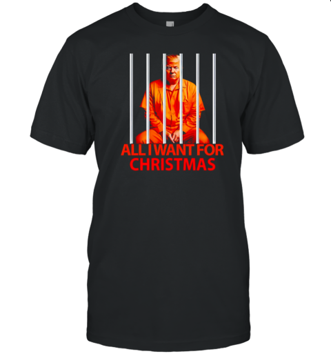 Trump All I Want For Christmas T-Shirt