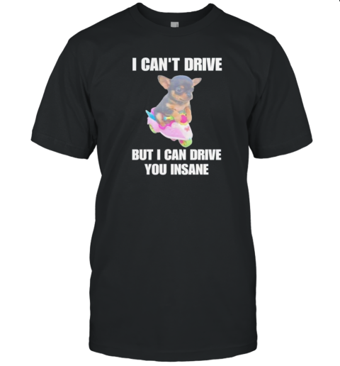 I Can'T Drive But I Can Drive You Insane Dog T-Shirt