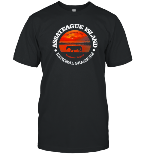 Assateague Island National Seashore Established 1965 Maryland Virginia T- Classic Men's T-shirt