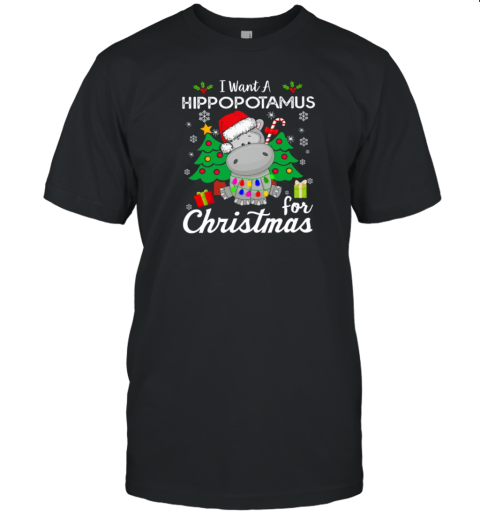 I Want A Hippopotamus For Christmas Teacher T-Shirt