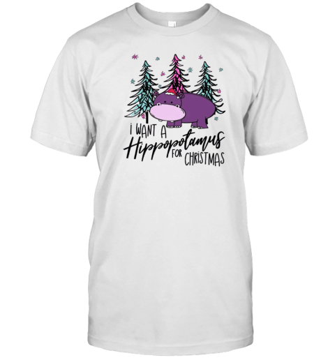 I Want A Hippopotamus For Christmas Teachers T-Shirt