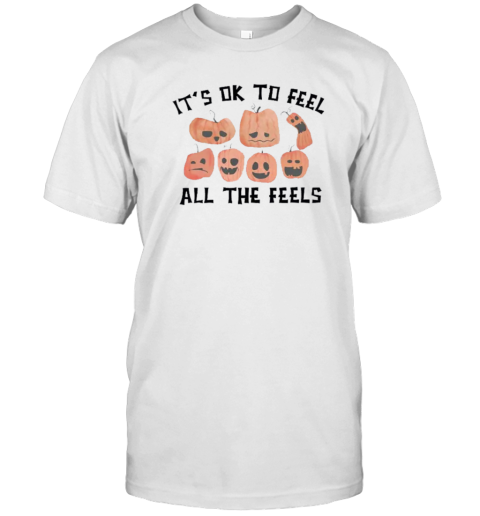 It's Ok To Feel All The Feels Teacher T-Shirt