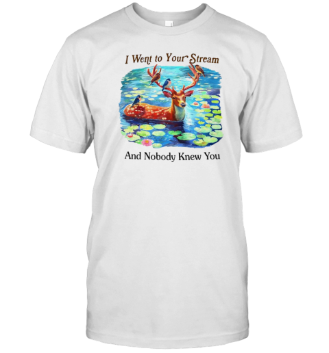 I went to your stream and nobody knew you T- Classic Men's T-shirt