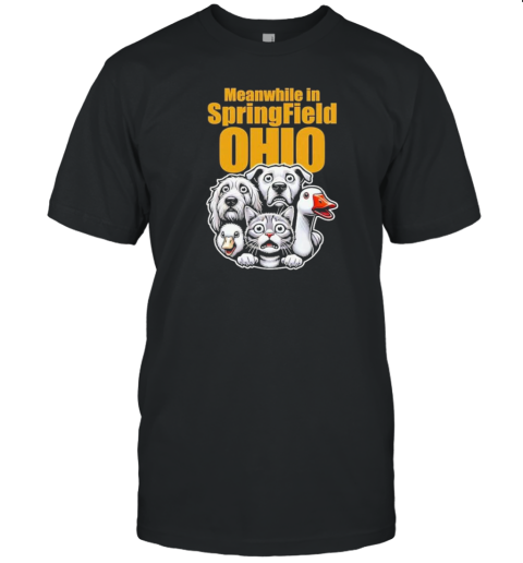 Original Meanwhile In Springfield Ohio 2024 T-Shirt