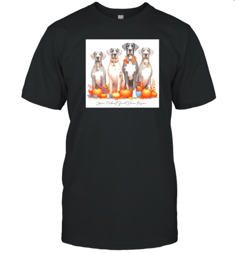 Upper Midwest Great Dane Rescue Dogs And Pumpkin T-Shirt