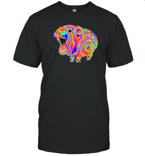 Moo Deng Rainbow Funny T- Classic Men's T-shirt