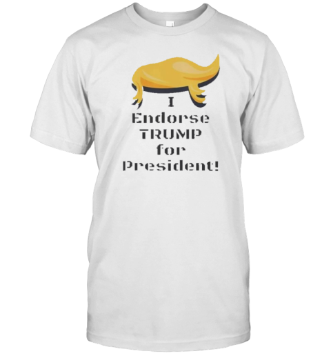 I Endorse Trump For President T- Classic Men's T-shirt