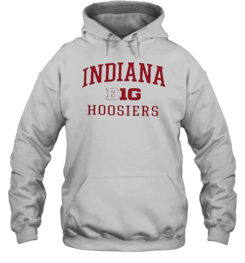 Indiana Hoosiers Champion Big Ten T- Unisex Hoodie