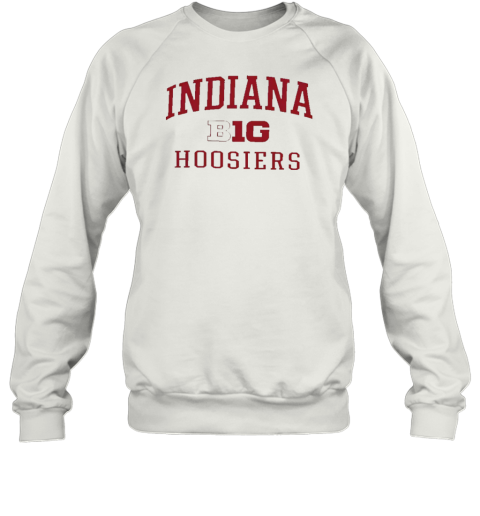 Indiana Hoosiers Champion Big Ten T- Unisex Sweatshirt