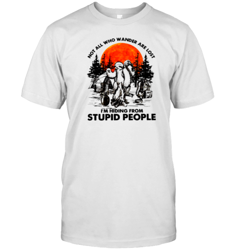 Not All Who Wander Are Lost Im Hiding From Stupid People T- Classic Men's T-shirt