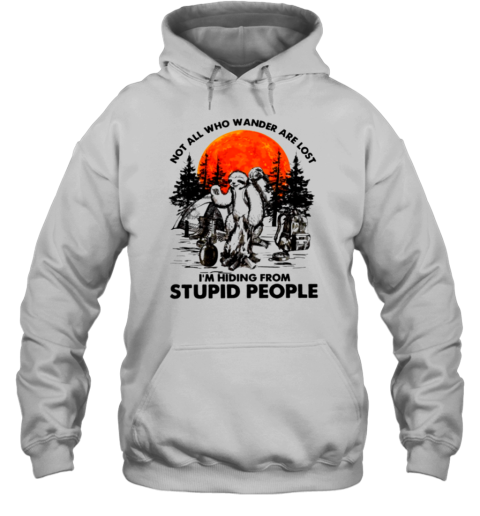 Not All Who Wander Are Lost Im Hiding From Stupid People T- Unisex Hoodie