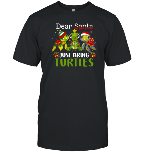 Dear Santa Just Bring Turtles T-Shirt