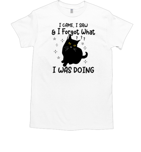 I Came I Saw And I Forgot What I Was Doing T-Shirt