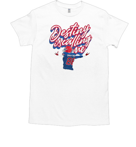 Mr. Brightside Buffalo Bills Destiny Is Calling Me T-Shirt