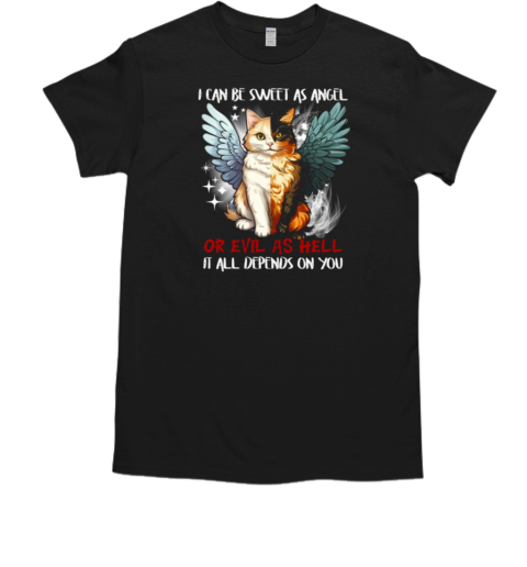 I Can Be Sweet As Angel Or Evil As Hell It All Depends On You T-Shirt