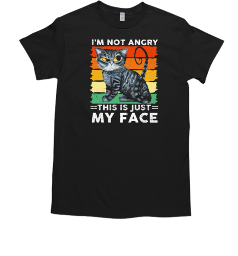 I'm Not Angry This Is Just My Face Cool Cat V Neck T-Shirt