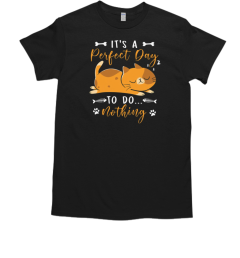 It's A Perfect Day To Do Nothing T-Shirt