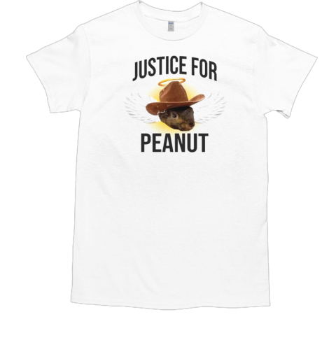 Justice For Peanut 2024 Classic Men's T-shirt