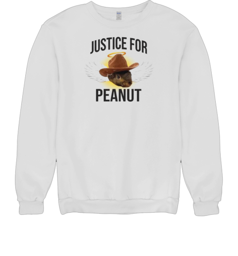 Justice For Peanut 2024 Unisex Sweatshirt