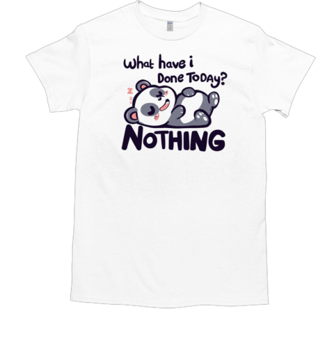 What Have I Done Today Nothing T-Shirt