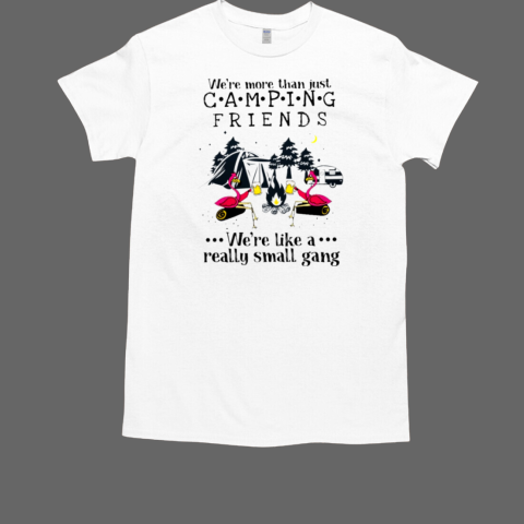 We're More Than Just CAMPING FRIENDS We're Like A Really Small Gang T-Shirt