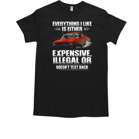 Everything I Like Is Either Expensive Illegal Or Doesn't Text Back T-Shirt