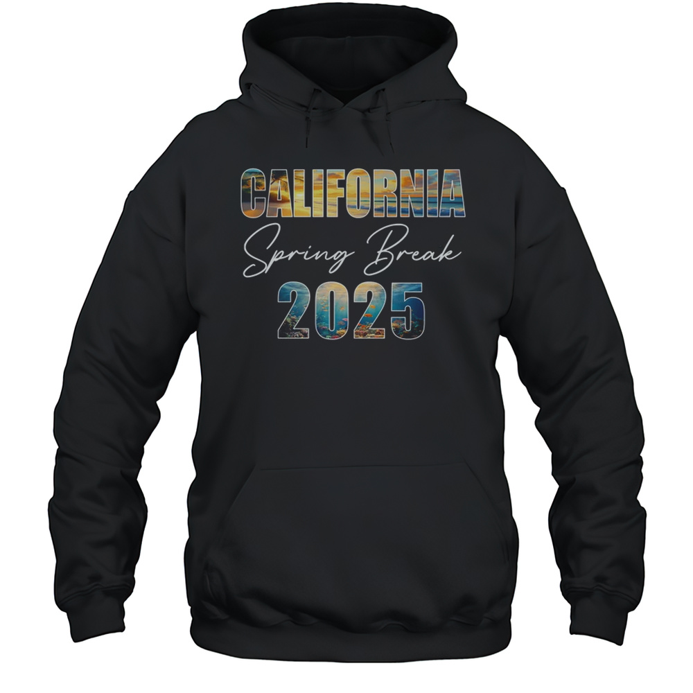 California Spring Break 2025 Summer Vacation Beach Shirt Unisex Hoodie