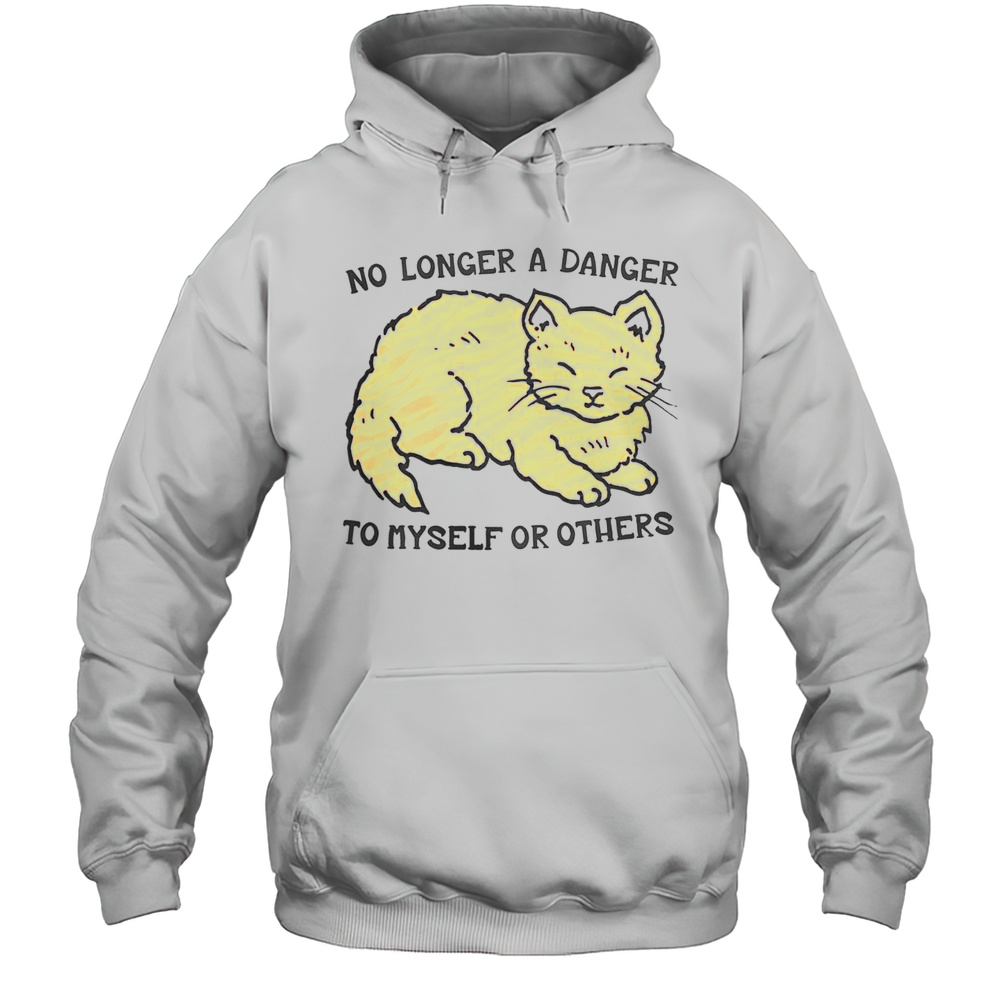 Cute No Longer A Danger To Myself Or Others T-Shirt Unisex Hoodie