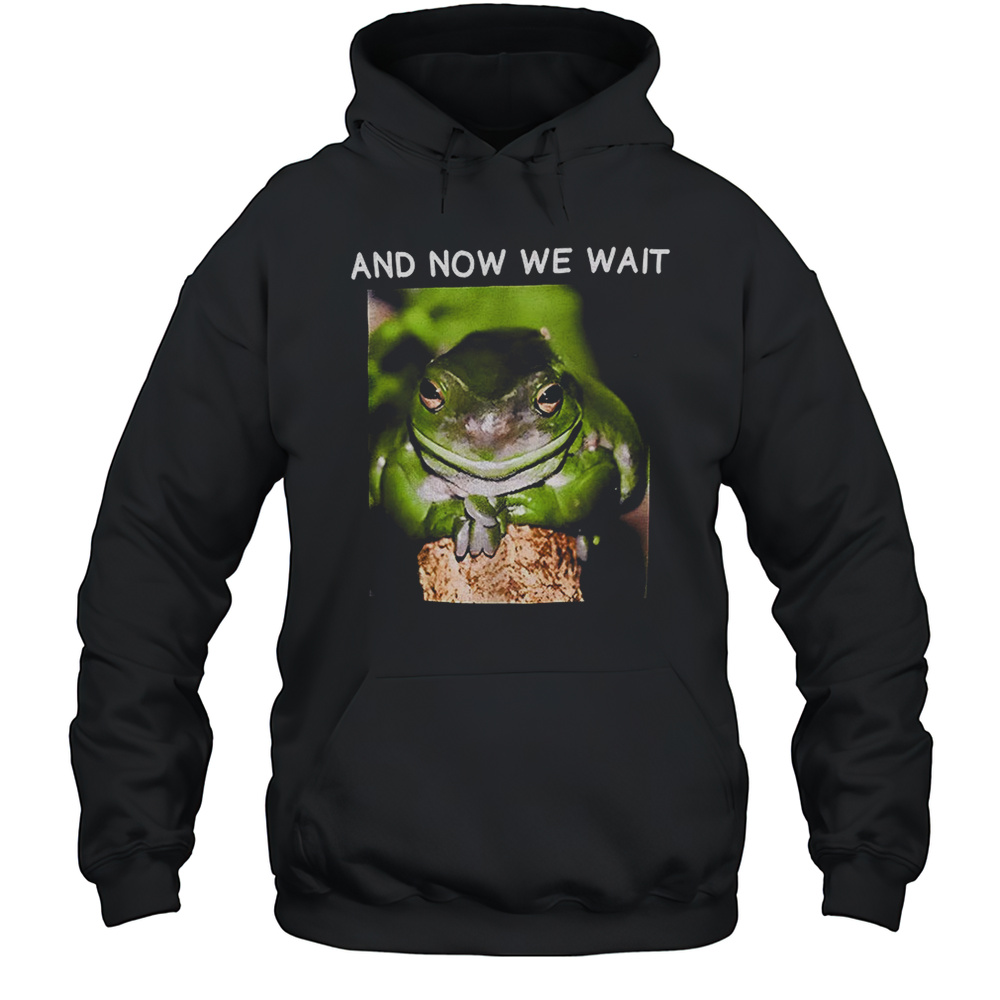 Frog And Now We Wait Shirt Unisex Hoodie