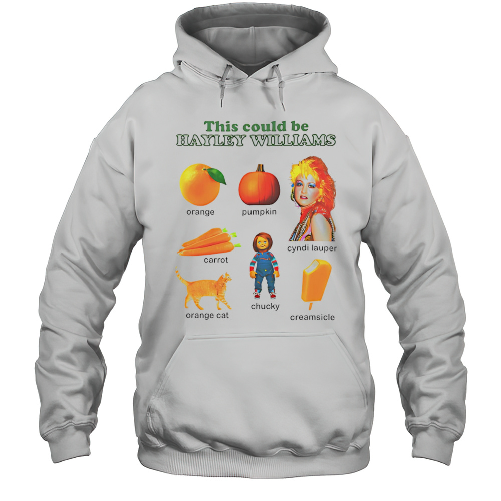 This Could Be Hayley Williams Shirt Unisex Hoodie