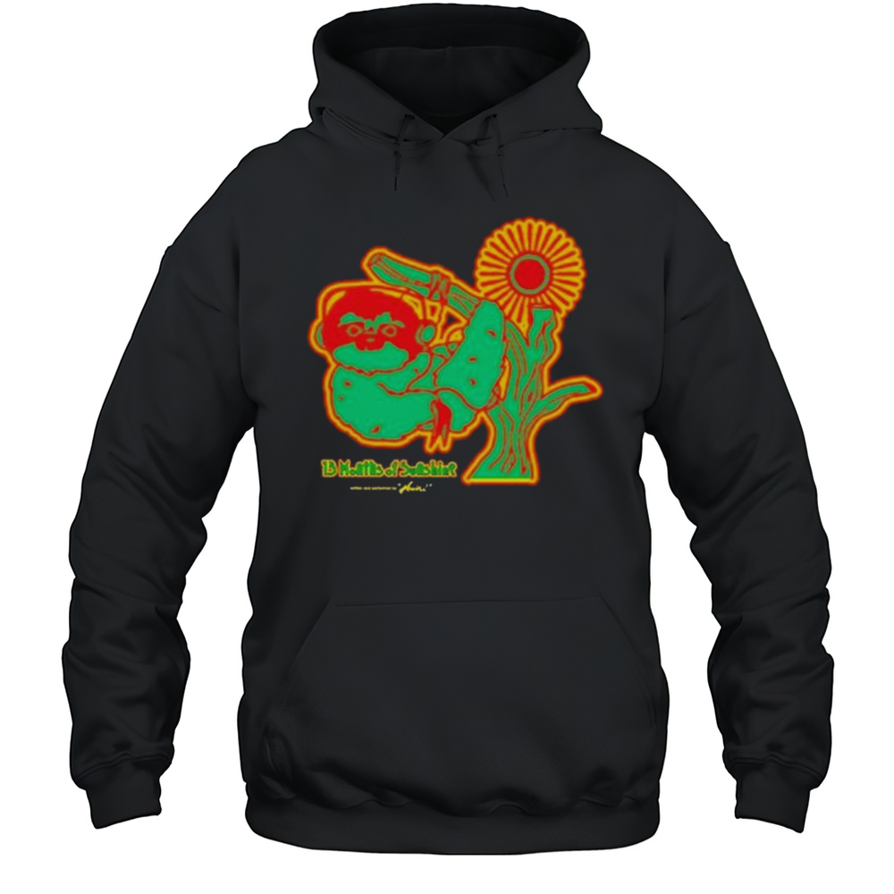Amine 13 Months Of Sunshine 2025 T-shirt Unisex Hoodie