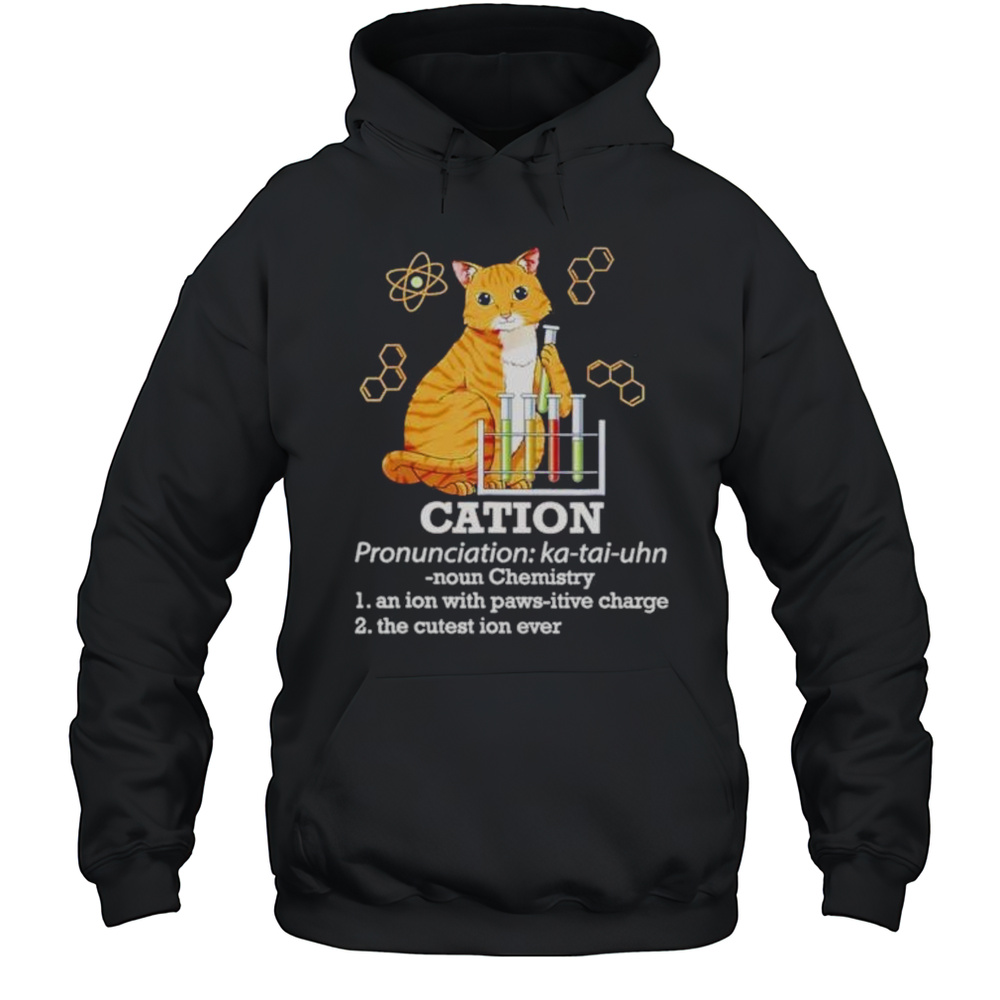 Cation Cat Chemistry Shirt Unisex Hoodie