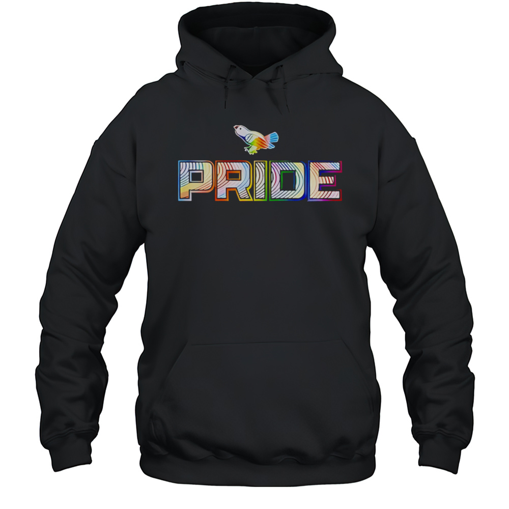 Baltimore Orioles Pride Night 2025 Shirt Unisex Hoodie