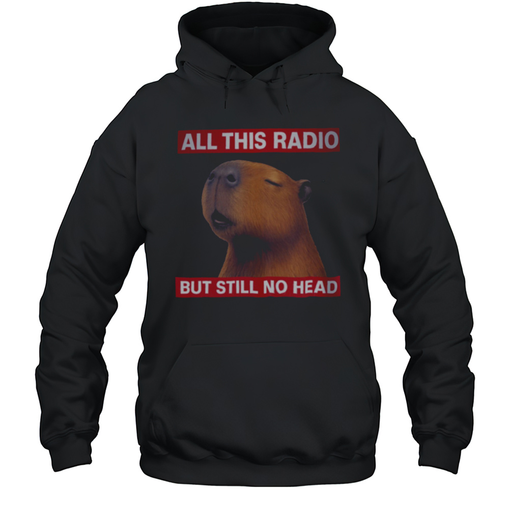 All This Radio But Still No Head Capybara Parody T Shirt Unisex Hoodie