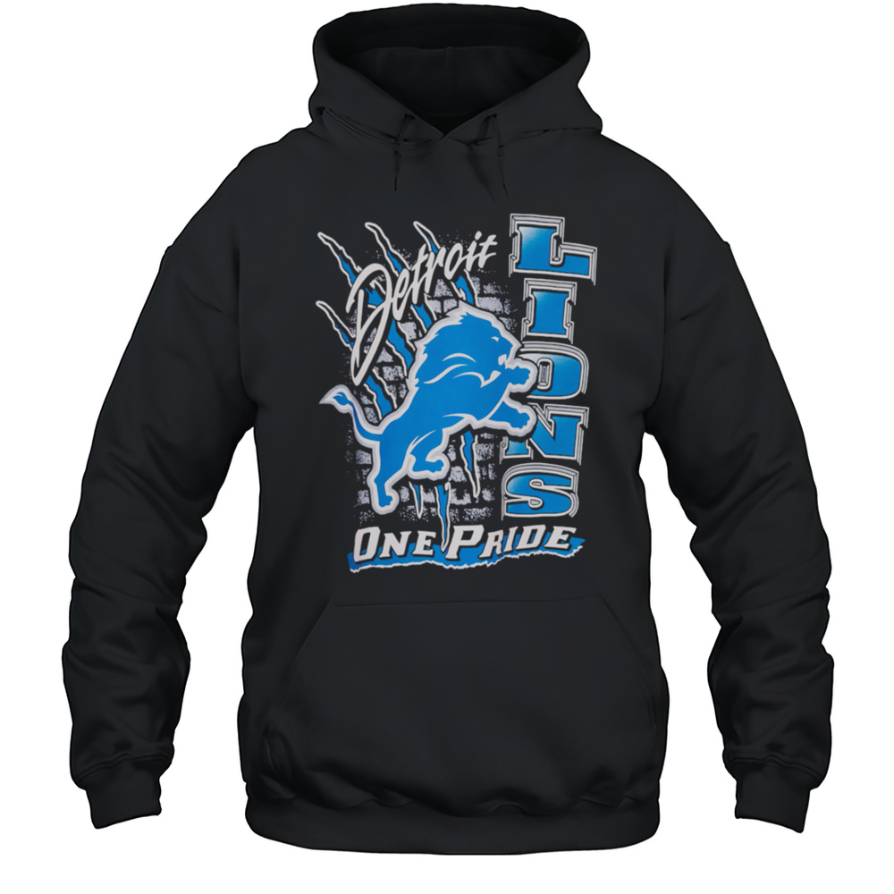 Detroit Lions One Pride Vintage Shirt Unisex Hoodie