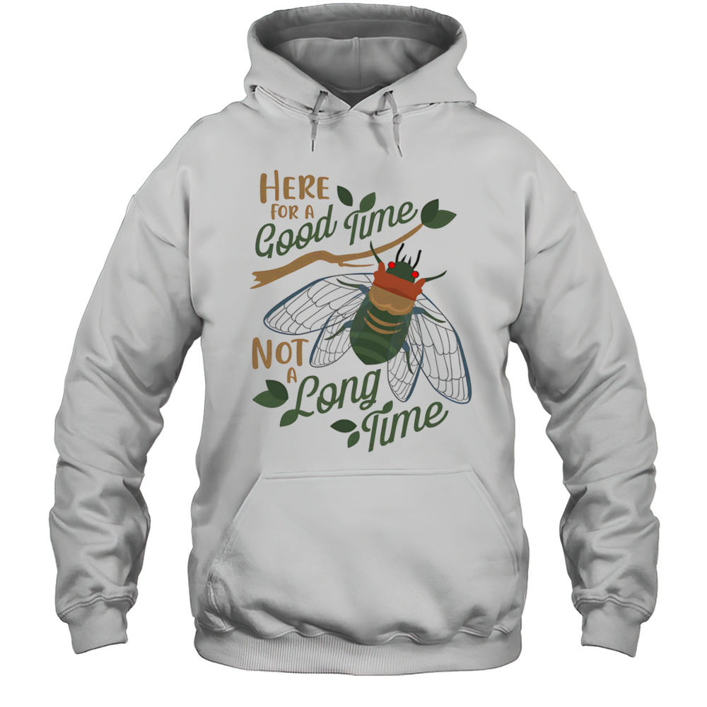 Cicadas Here For A Good Time Not A Long Time Shirt Unisex Hoodie