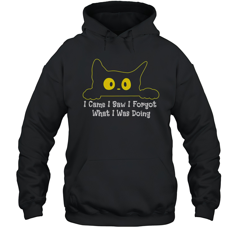 Cat I Came I Saw I Forgot What I Was Doing Shirt Unisex Hoodie