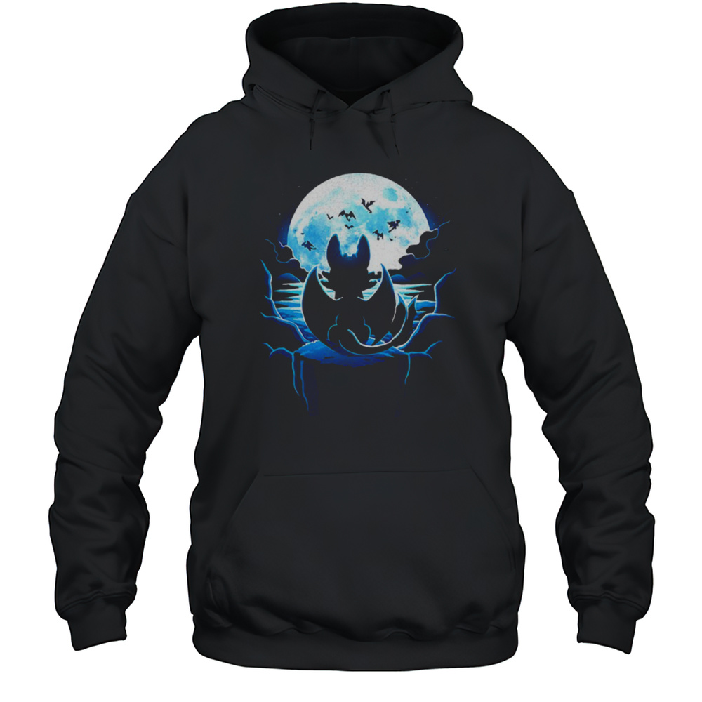 Toothless How To Train Your Dragon Dragon Land Shirt Unisex Hoodie