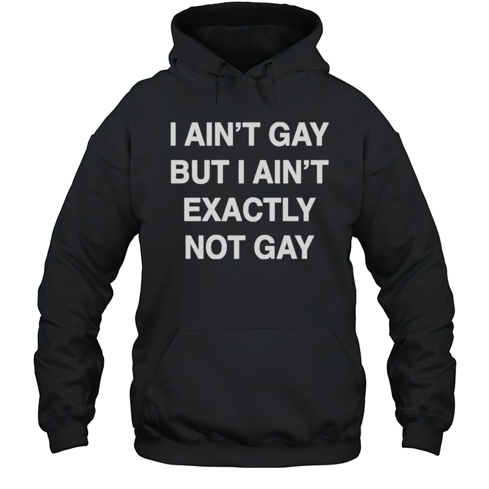 I Aint Gay But I Aint Exactly Not Gay Shirt Unisex Hoodie
