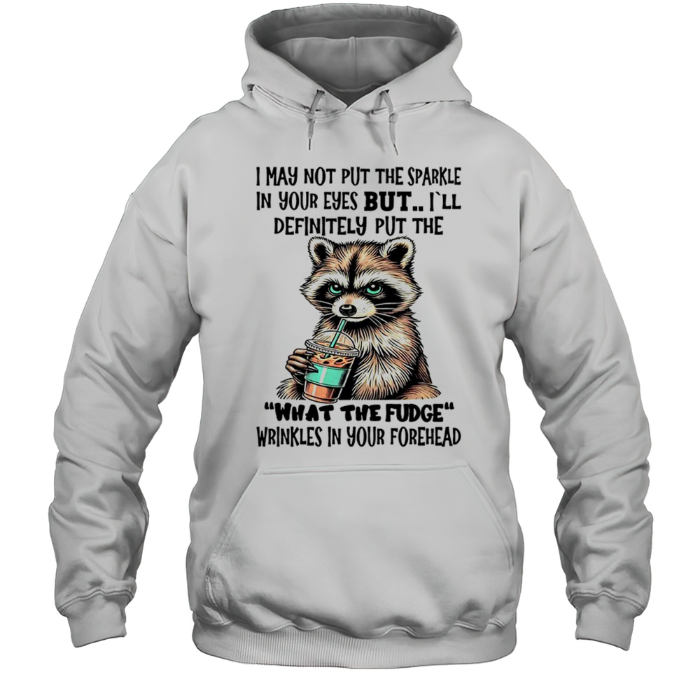 Raccoon I May Not Put The Sparkle In Your Eyes Shirt Unisex Hoodie