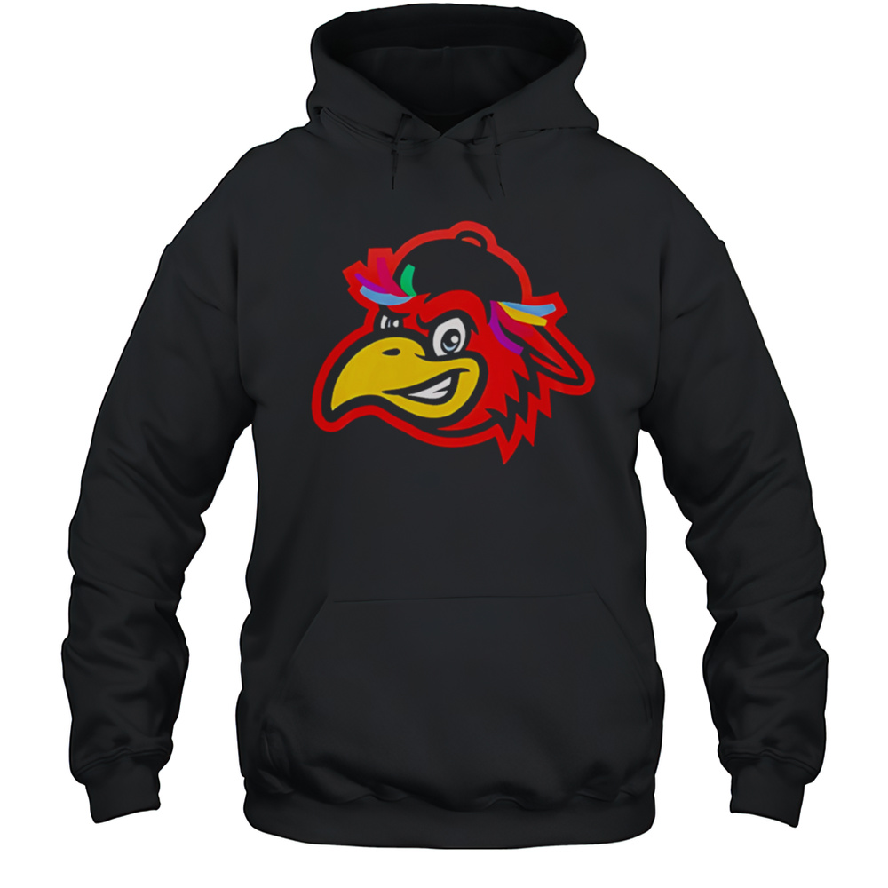 Delmarva Shorebirds X Spicer Bros 2025 Hockey Shirt Unisex Hoodie