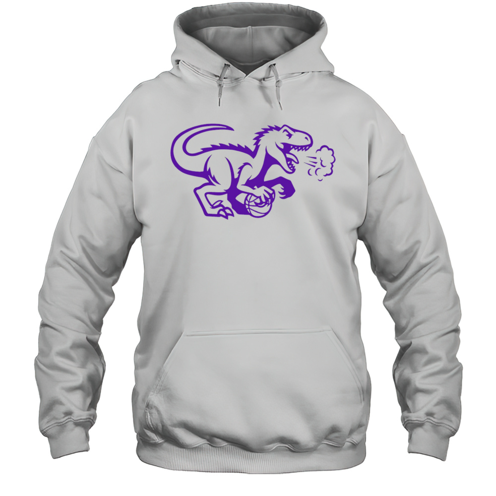 Toronto Raptors Logo Cute Shirt Unisex Hoodie