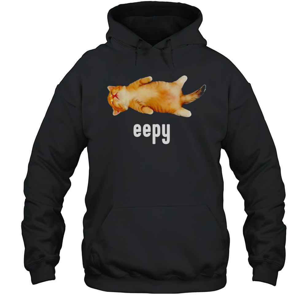 Cat Sleeping Eepy Shirt Unisex Hoodie
