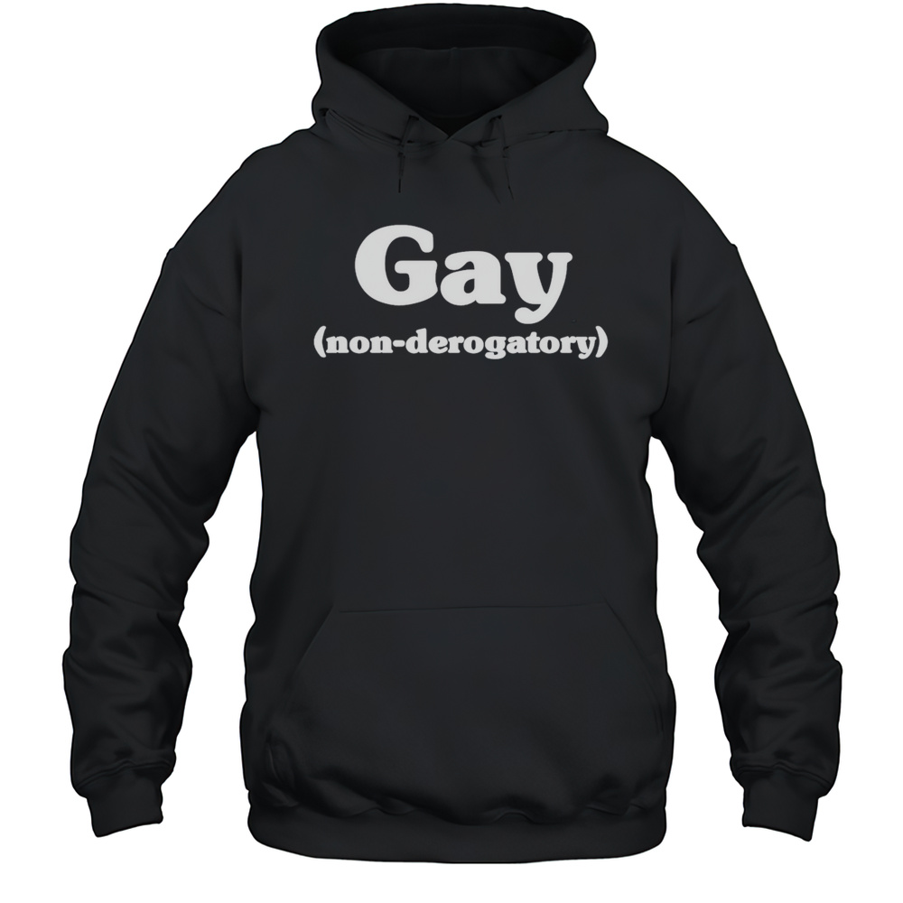 Gay Non Derogatory Shirt Unisex Hoodie