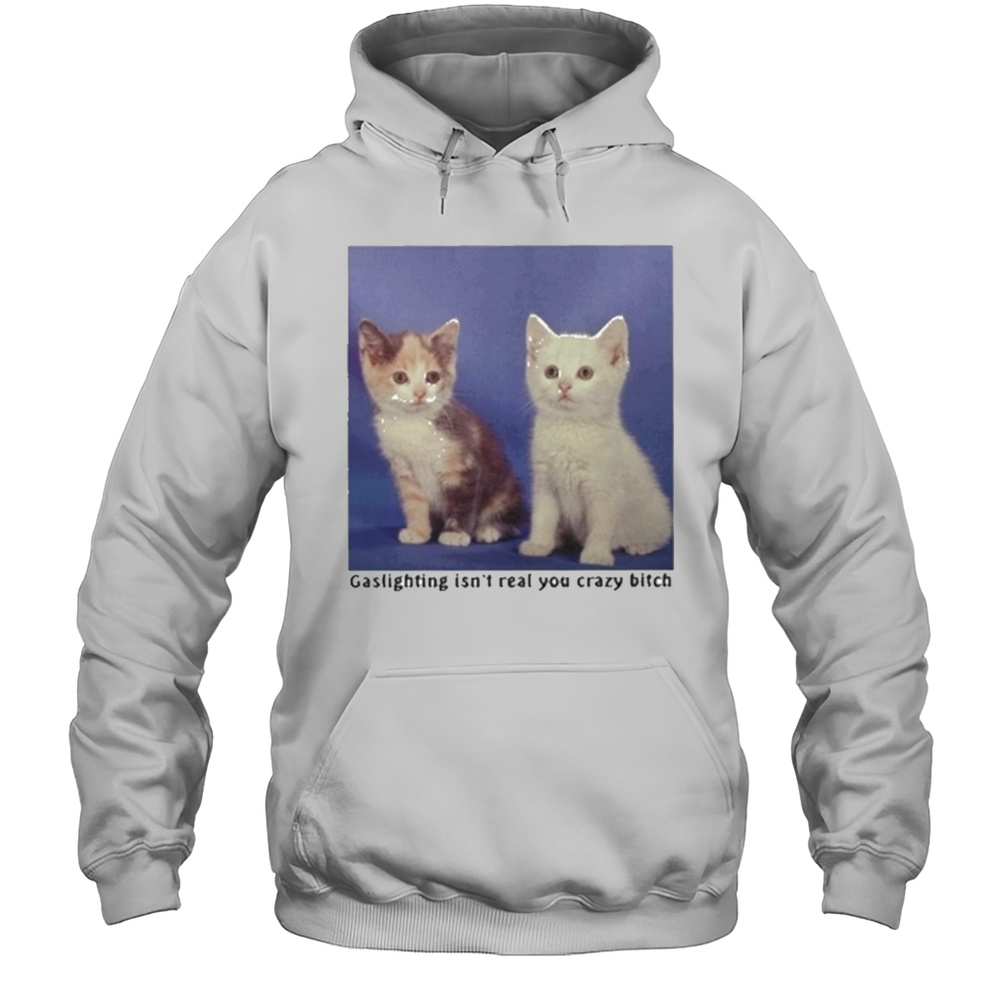 Gaslighting Isnt Real You Crazy Bitch Cat Shirt Unisex Hoodie