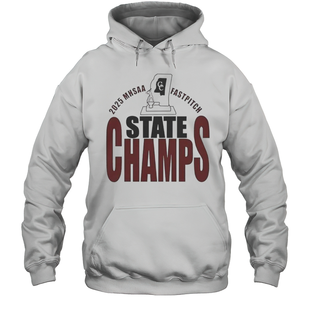 2025 MHSAA Fastpitch State Champs T-Shirt Unisex Hoodie