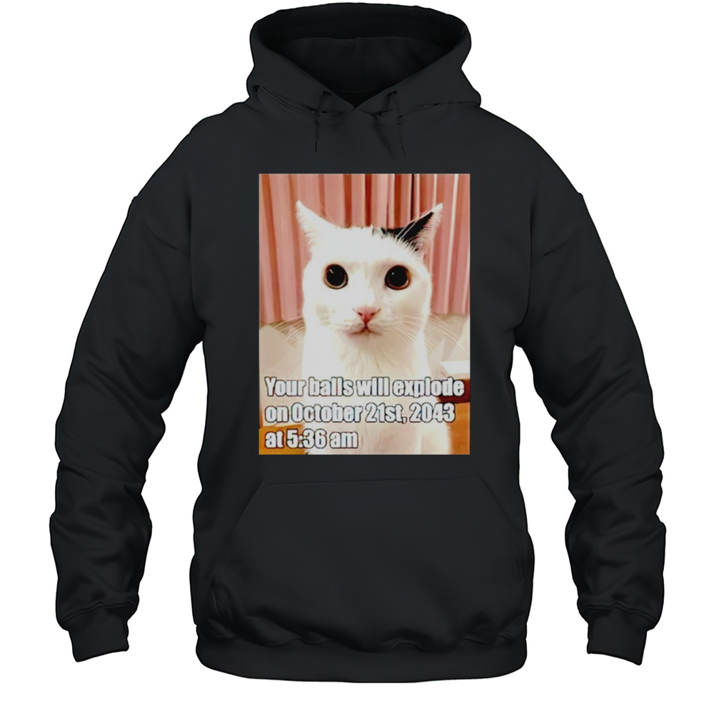 Cat Your Balls Will Explode On October 21st 2043 Shirt Unisex Hoodie